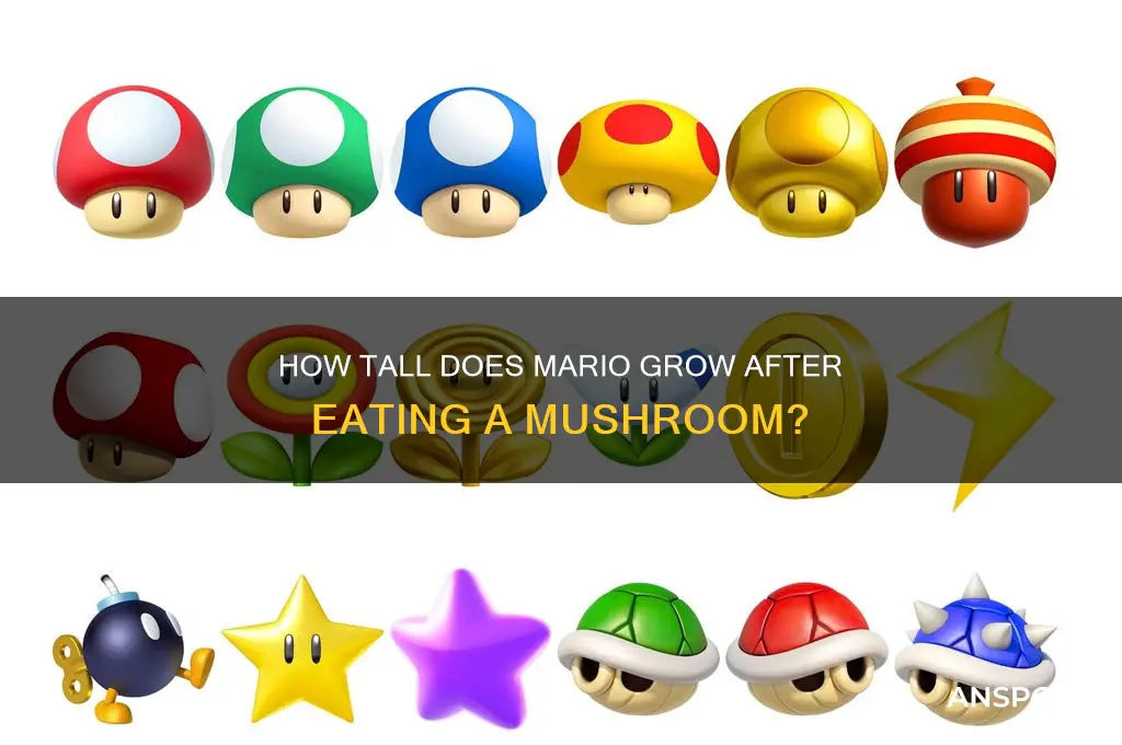 how tall is mario when he eats a mushroom
