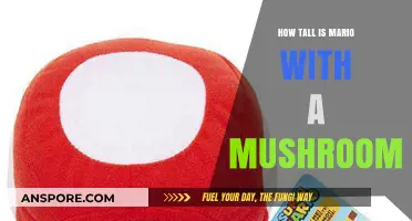 The Height of Mushroom-Powered Mario