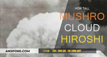 Hiroshima's Mushroom Cloud: How High Did It Reach?