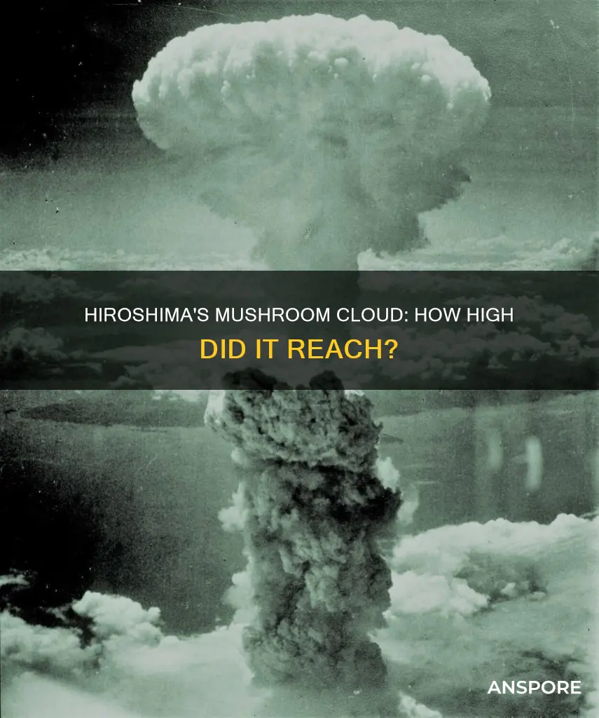 how tall mushroom cloud hiroshima