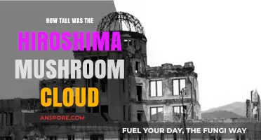Hiroshima's Deadly Mushroom Cloud: How Tall Did It Reach?