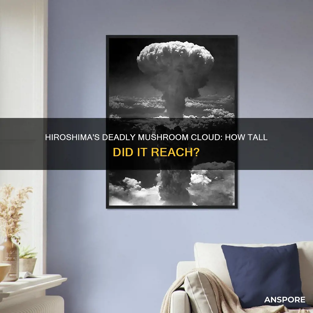 how tall was the hiroshima mushroom cloud