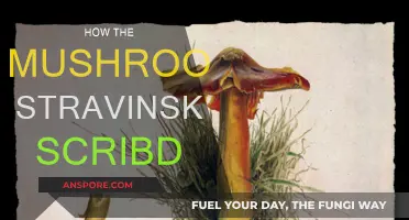 Stravinsky's Mushroom Inspiration: A Scribd Exploration