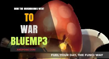 Mushrooms at War: A Bluemp3 Story