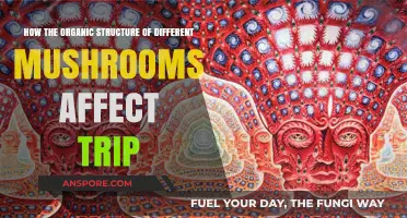 Mushroom Tripping: Structure, Substance, and Experience