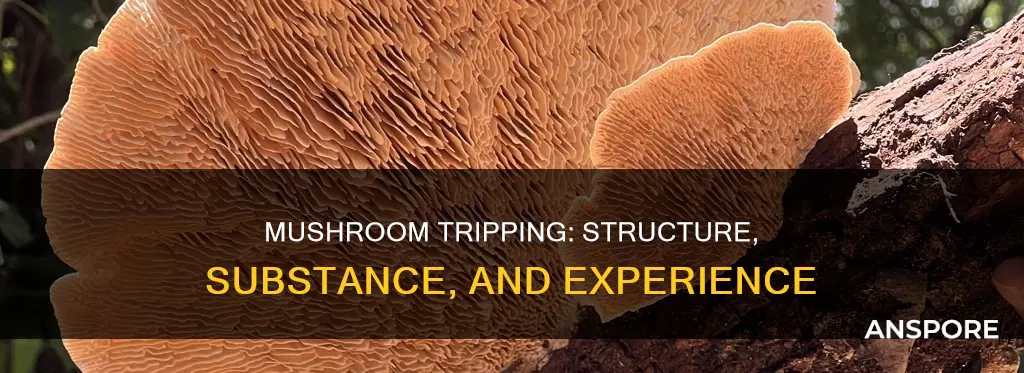 how the organic structure of different mushrooms affect trip