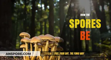 Unveiling the Mysteries of Spores: Nature's Tiny Survival Masters