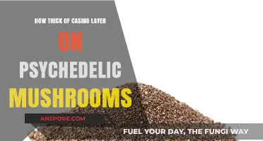 Psychedelic Mushroom Casing Layer Thickness: How Thick is Too Thick?