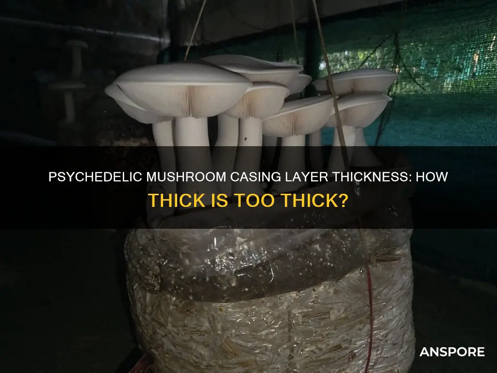 how thick of casing layer on psychedelic mushrooms
