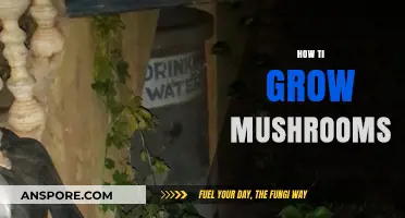 Mastering Mushroom Cultivation: Simple Steps to Grow Your Own Fungi