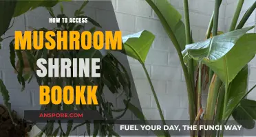 Unlocking the Mushroom Shrine Book Secrets