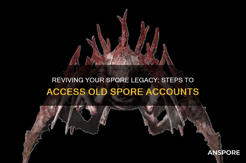 how to access old spore account