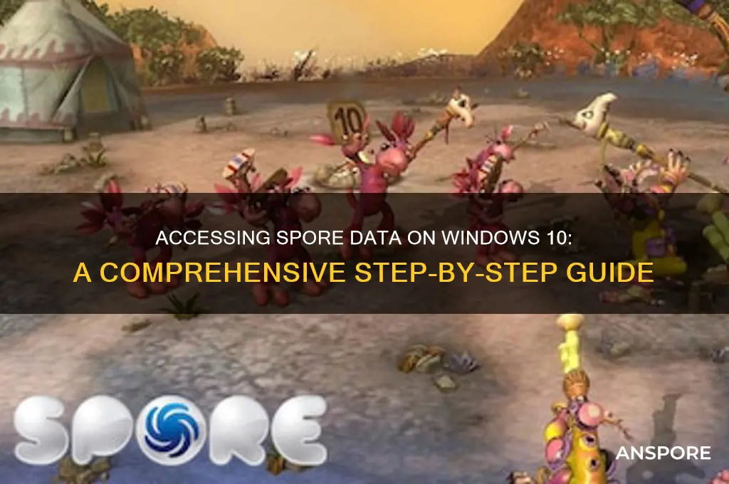 how to access spore data windows 10