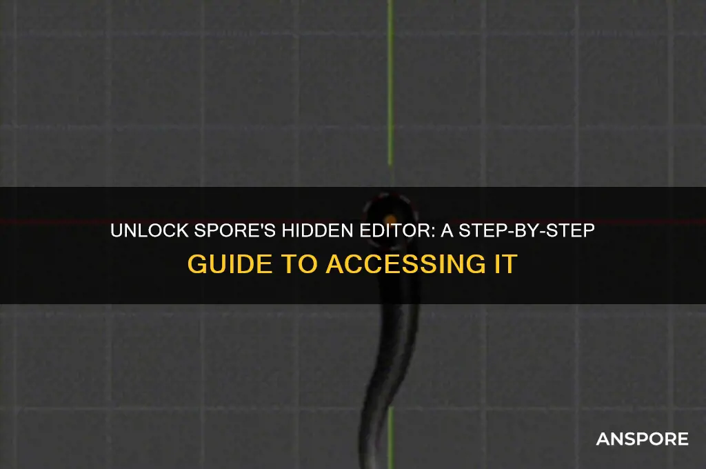 how to access the hidden editor in spore