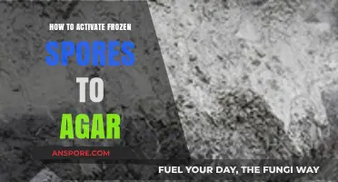 Reviving Frozen Spores: A Step-by-Step Guide to Agar Activation