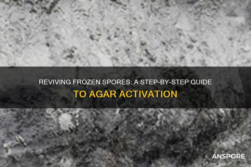 how to activate frozen spores to agar