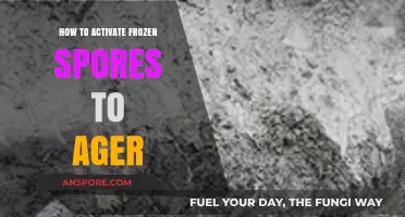 Reviving Frozen Spores: A Step-by-Step Guide to Successful Activation for Aging