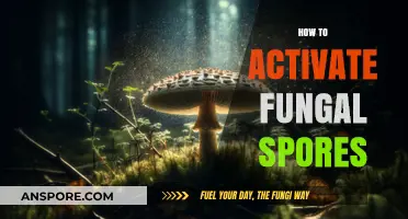 Mastering Fungal Spores: Techniques to Activate and Cultivate Successfully
