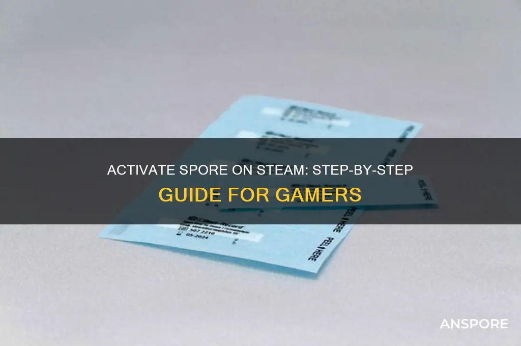 how to activate spore on steam