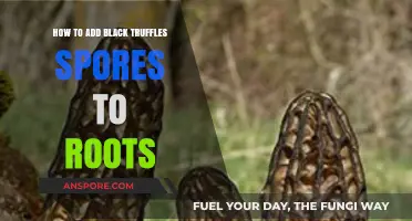 Enhance Your Garden: Adding Black Truffle Spores to Roots