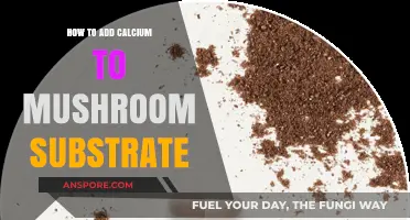 Enriching Mushroom Substrate: Calcium Addition Techniques