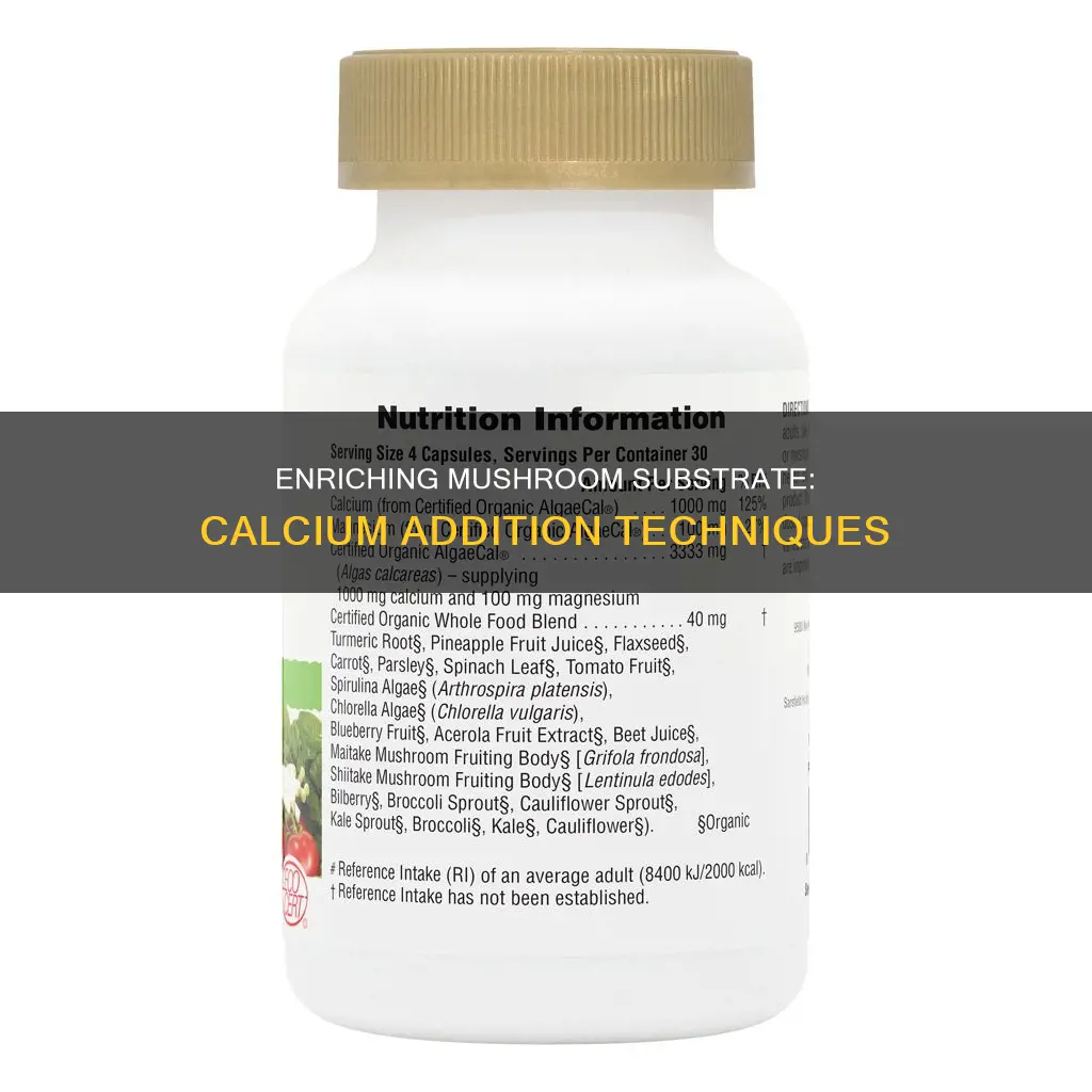 how to add calcium to mushroom substrate