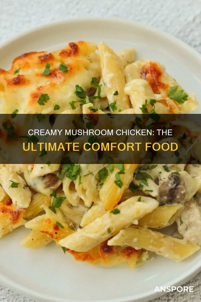 how to add cream of mushroom to bake chicken