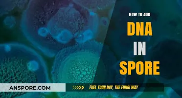 Mastering Spore Modding: A Guide to Adding Custom DNA