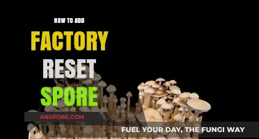 Mastering Factory Reset: A Step-by-Step Guide to Adding Spore