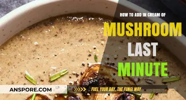The Ultimate Guide to Adding Cream of Mushroom