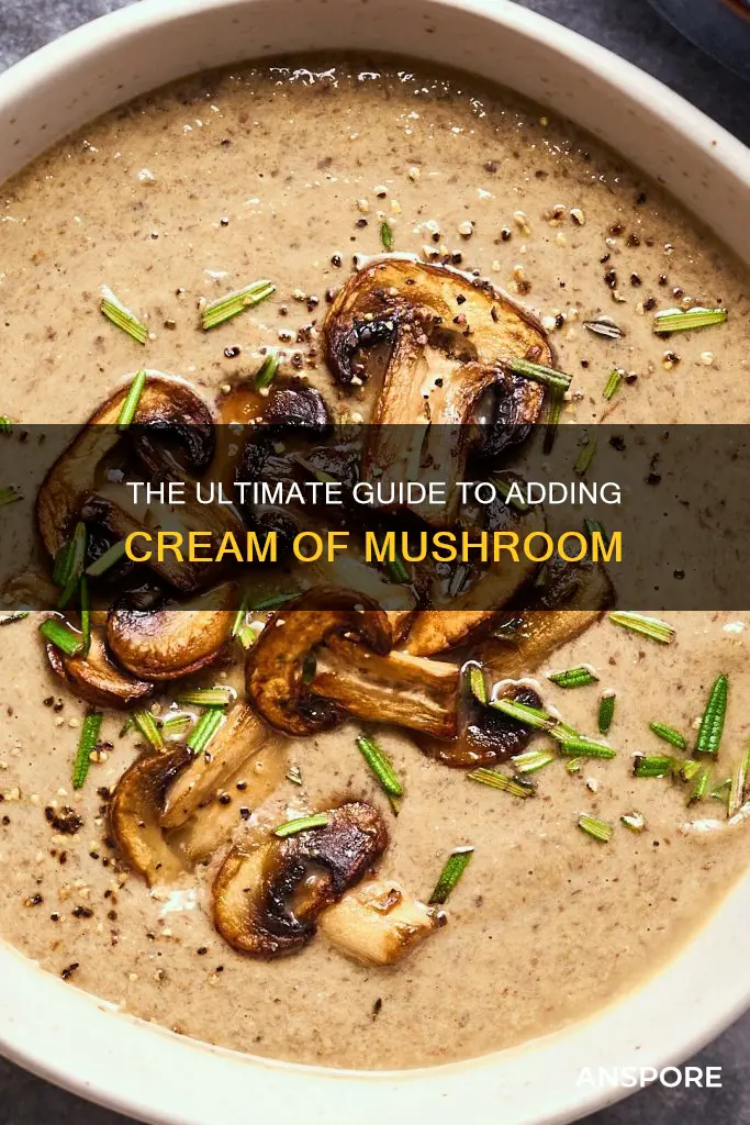 how to add in cream of mushroom last minute