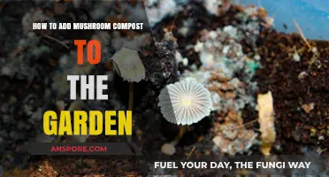 Enrich Your Garden Soil with Mushroom Compost