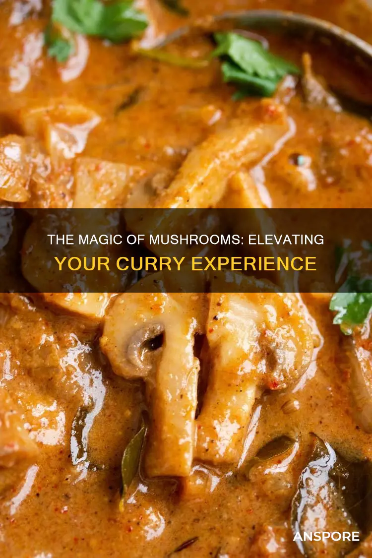 how to add mushrooms to curry