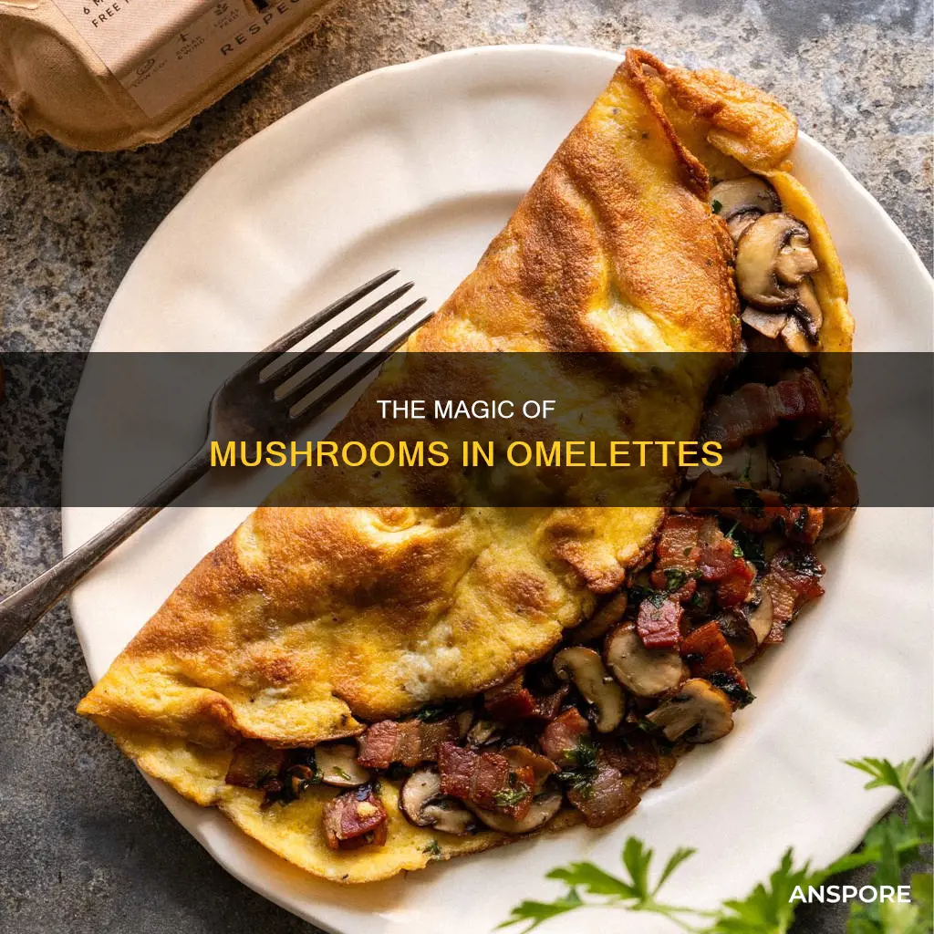 how to add mushrooms to omelette