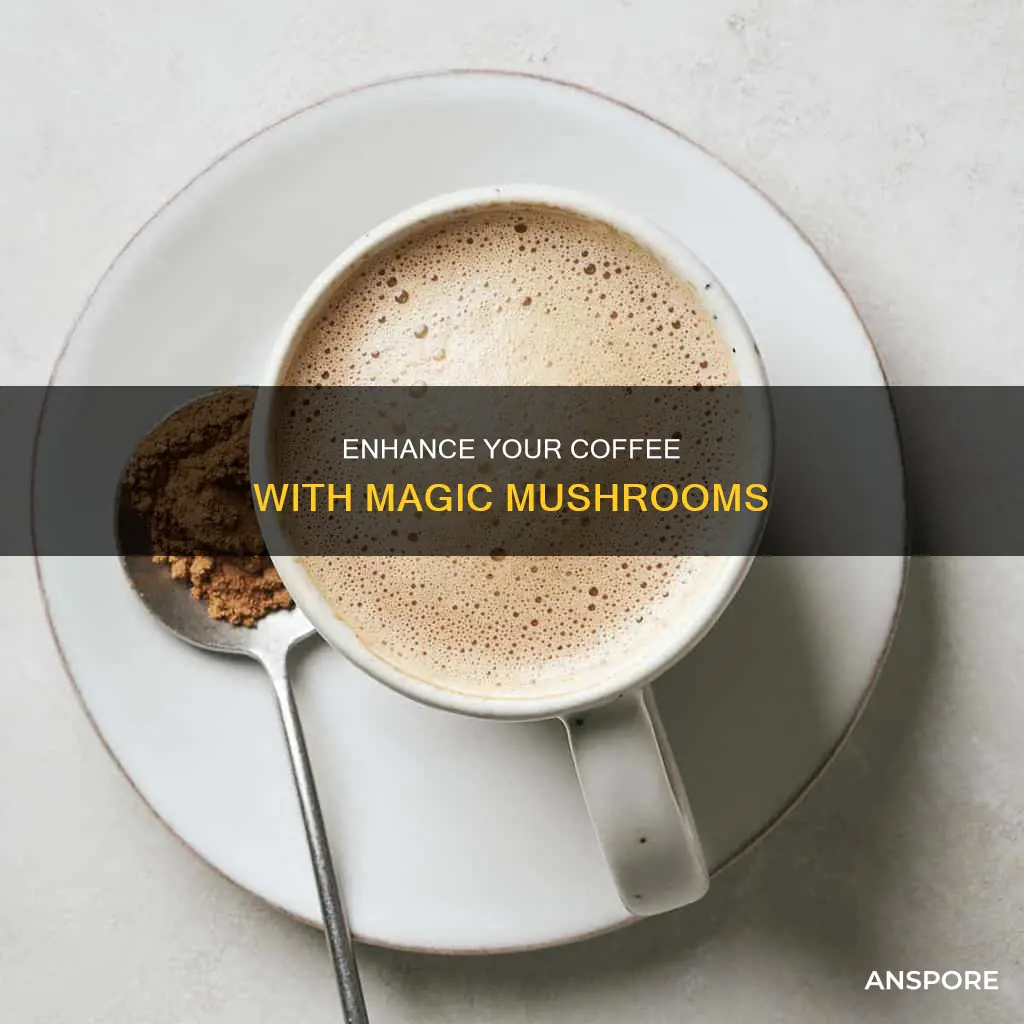 how to add mushrooms to your coffee