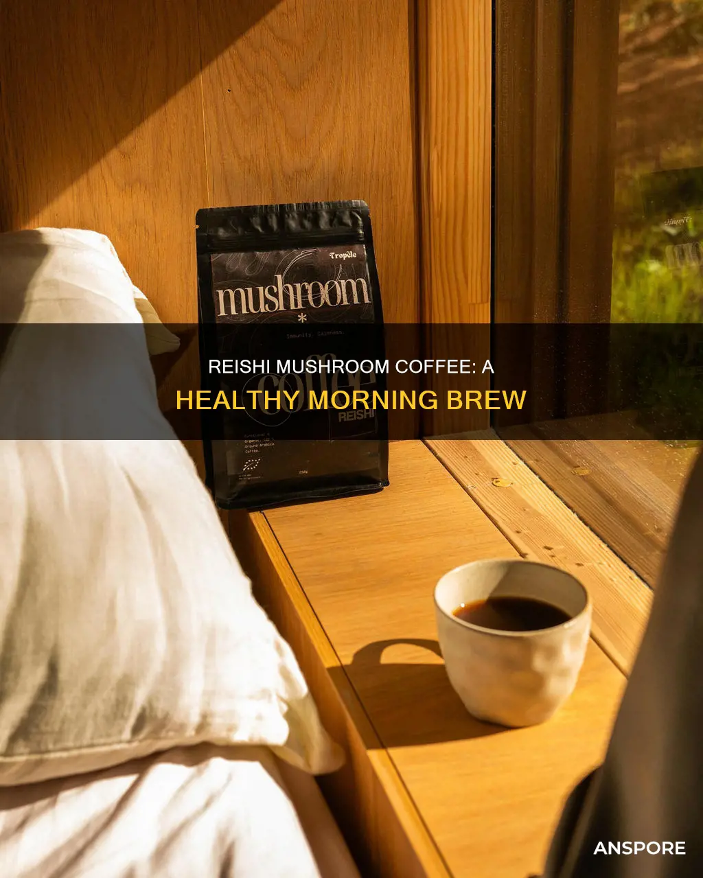 how to add reishi mushroom in your coffee