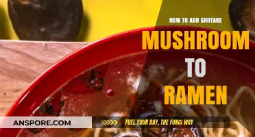 Shiitake Ramen: Elevating Your Bowl with Umami Mushrooms