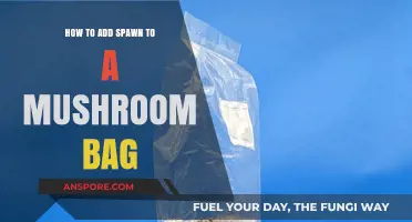 The Ultimate Guide: Adding Spawn to Mushroom Bags