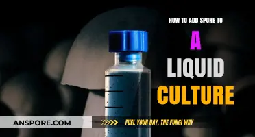 Mastering Liquid Culture: Simple Steps to Add Spores Effectively