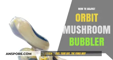 Adjusting Your Orbit: Tips for the Mushroom Bubbler