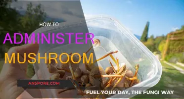 Administering Mushrooms: A Step-by-Step Guide