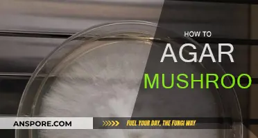 Grow Your Own Mushrooms: Agar Method