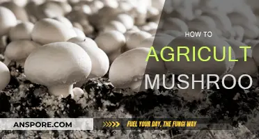 Mushroom Cultivation: A Beginner's Guide to Success
