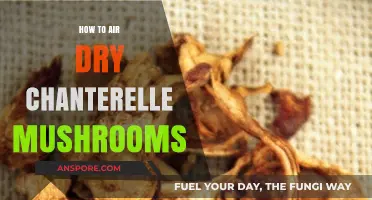 Air-Drying Chanterelles: A Step-by-Step Guide