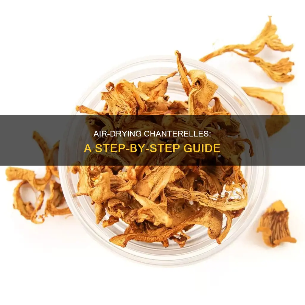 how to air dry chanterelle mushrooms