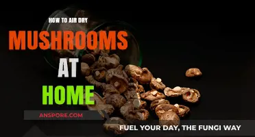 Air-Drying Mushrooms: A Simple Home Guide