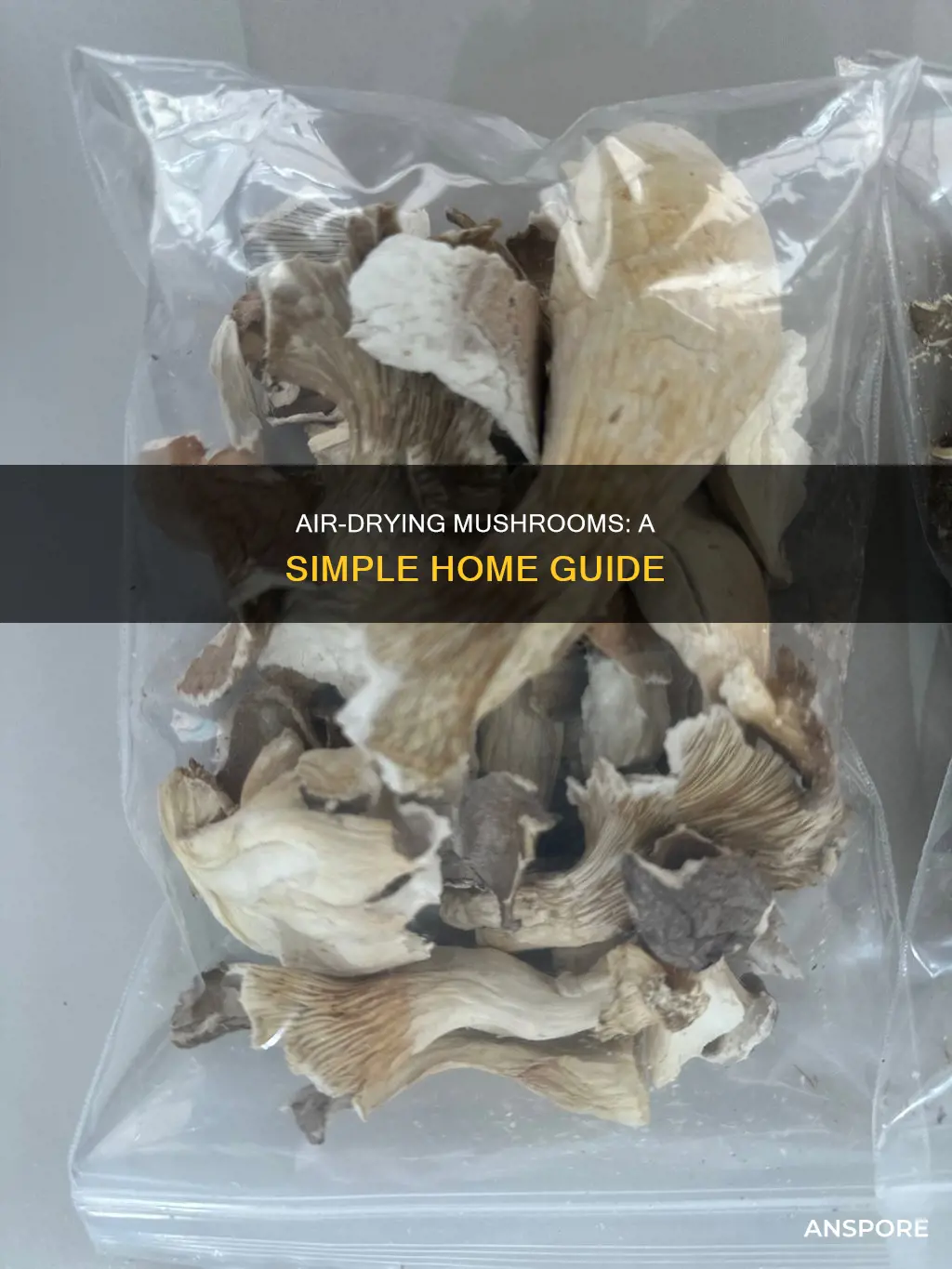 how to air dry mushrooms at home