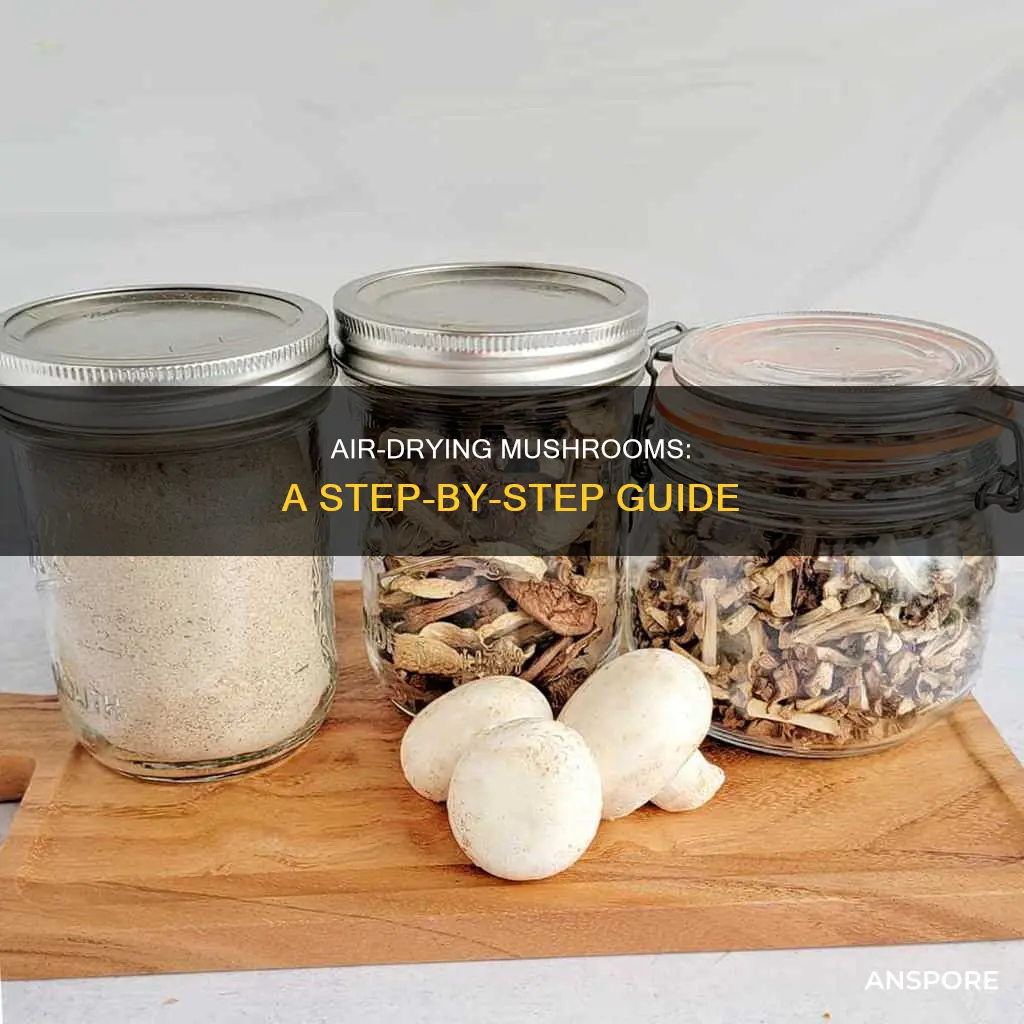 how to air dry mushrooms