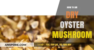 Air-Drying Oyster Mushrooms: A Step-by-Step Guide