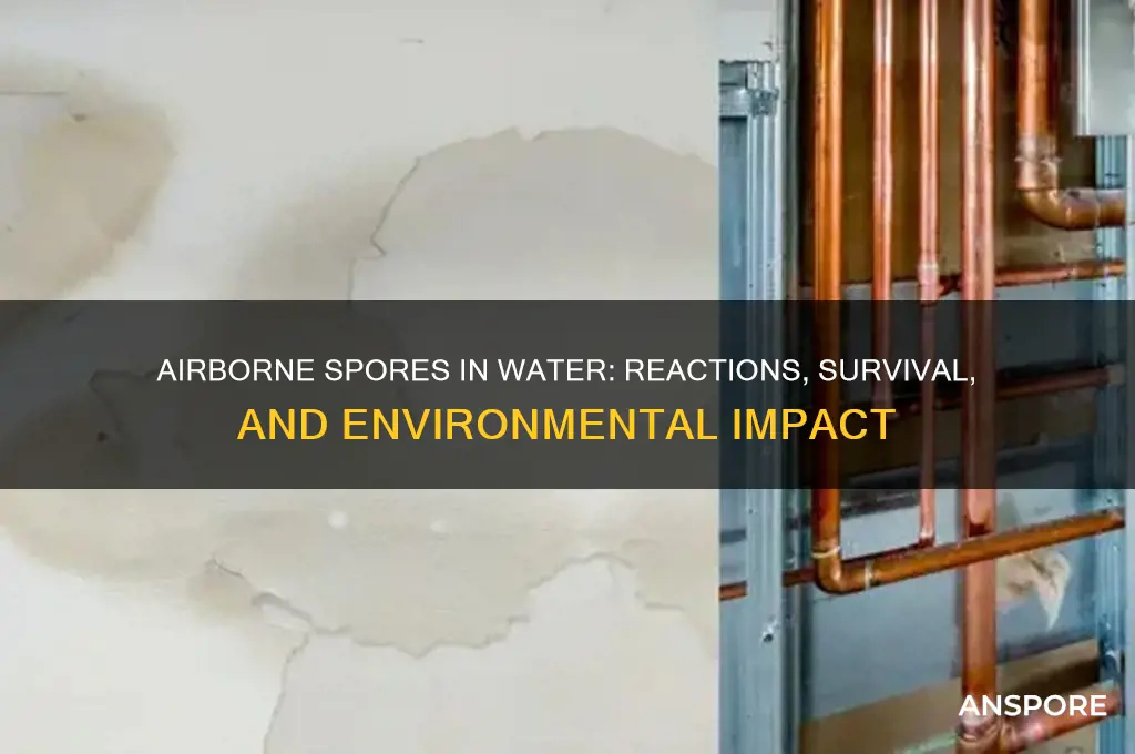 how to airborne spores react in water